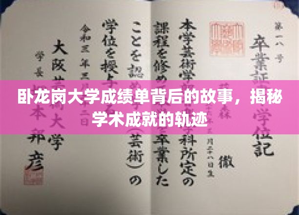 探寻卧龙岗大学成绩单背后的传奇，学术成就的奥秘之旅