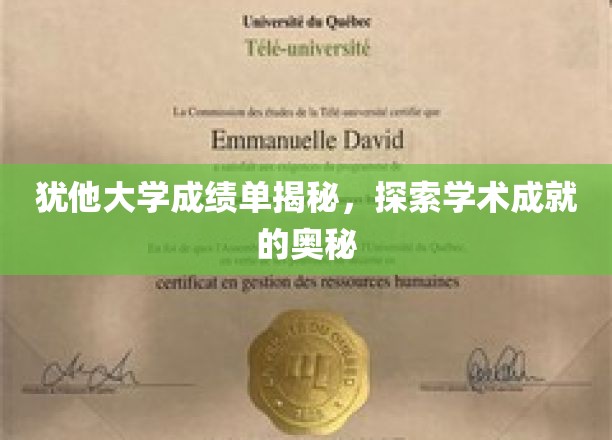 解码犹他大学，一窥学术辉煌背后的秘密
