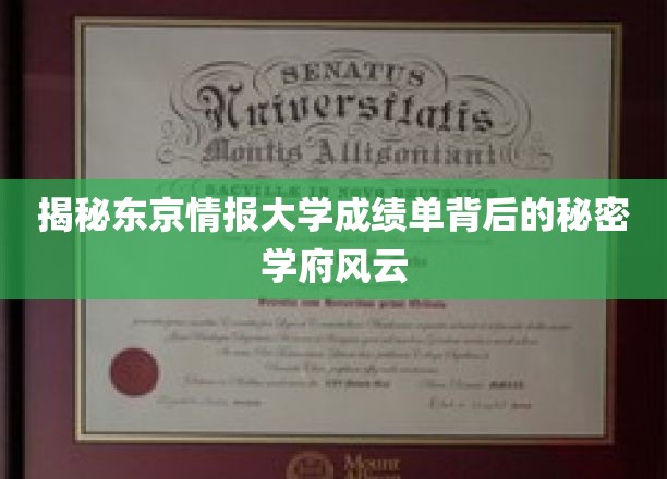 东京情报大学成绩单背后的风云录，揭秘神秘学府的精英养成之路