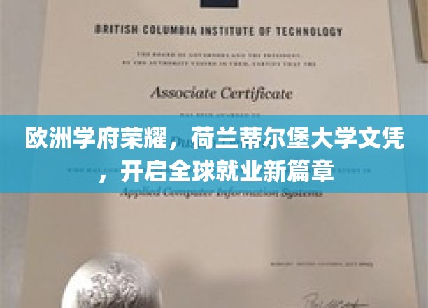 欧洲学府荣耀，荷兰蒂尔堡大学文凭，开启全球就业新篇章
