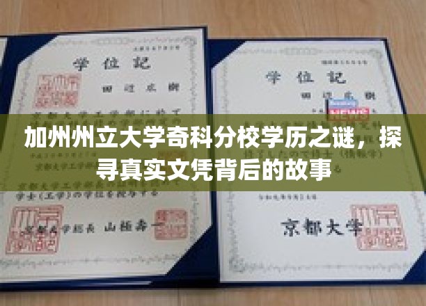 加州奇科分校学历真相探秘，揭秘文凭背后的传奇故事