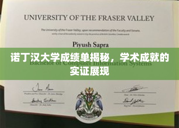 诺丁汉大学成绩单揭秘，学术成就的实证展现