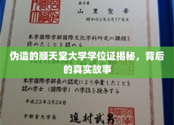 伪造学位证风波，顺天堂大学背后的学历造假疑云