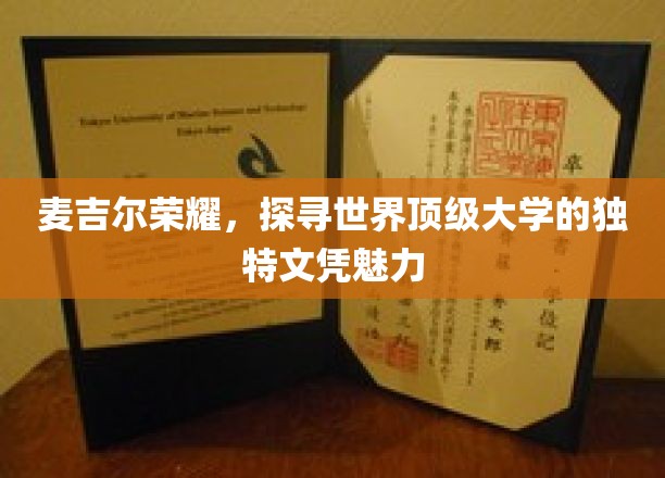 麦吉尔荣耀，探寻世界顶级大学的独特文凭魅力
