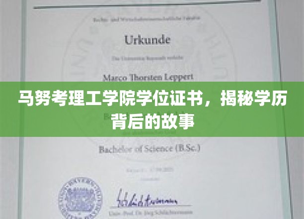 马努考理工学院学位证书，揭秘学历背后的故事