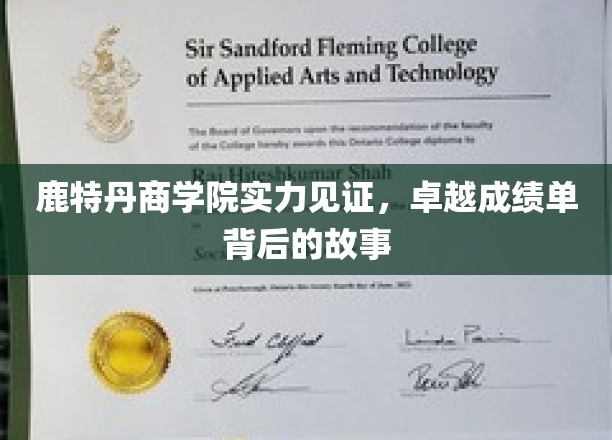 鹿特丹商学院实力见证，卓越成绩单背后的故事
