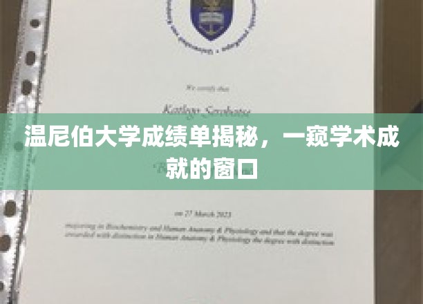 揭开温尼伯大学成绩单的秘密，透视学子学术成就的窗口