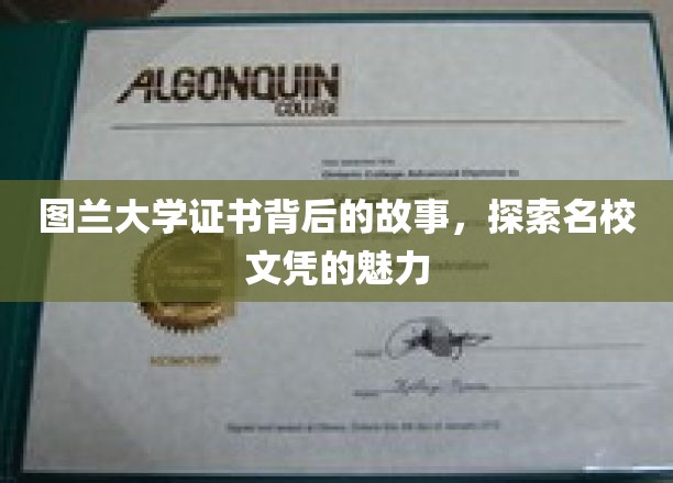 揭开图兰大学证书神秘面纱，探寻名校文凭的独特魅力