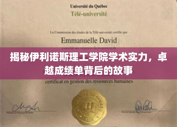 解码伊利诺斯理工，揭秘其卓越学术成就的传奇之路