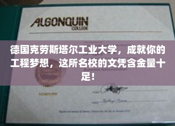 德国克劳斯塔尔工业大学，解锁工程领域梦想之门，顶级文凭助力未来职场辉煌！