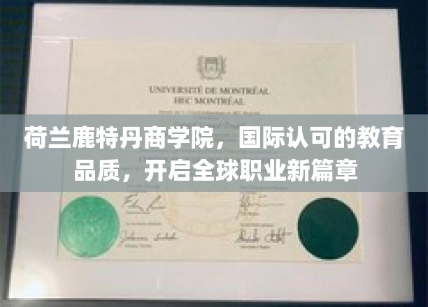 鹿特丹商学院，国际认证教育之光，引领全球职业未来之路
