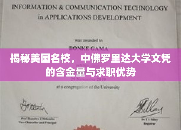 探索中佛罗里达大学，名校光环下的求职力与学历价值