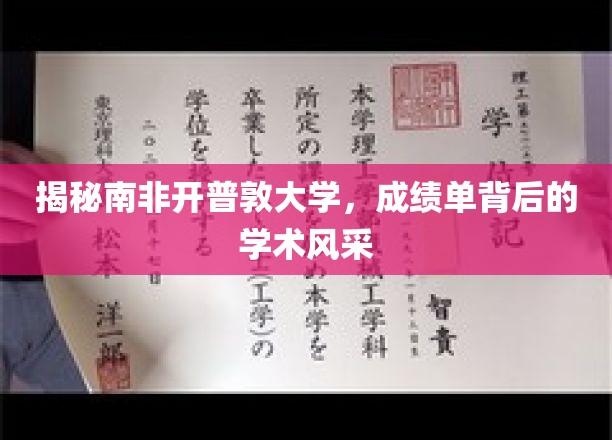 解码开普敦大学，探寻成绩单背后的学术魅力