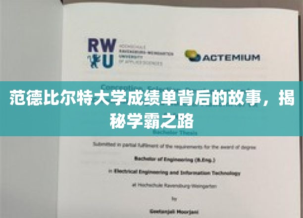 探寻范德比尔特大学学霸秘籍，成绩单背后的励志传奇