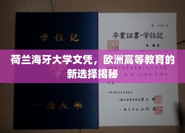 欧洲教育新地标，荷兰海牙大学文凭，开启你的国际学术之旅