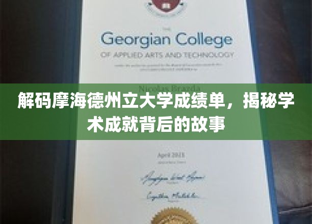 探寻德州立大学成绩单中的智慧轨迹