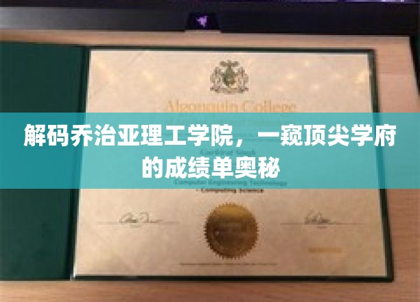 解码乔治亚理工学院，一窥顶尖学府的成绩单奥秘