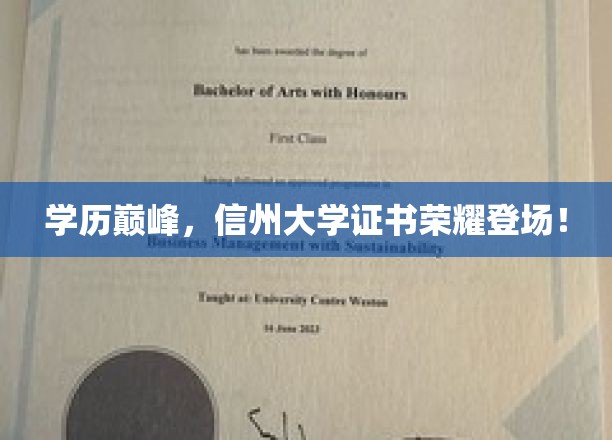 学历巅峰，信州大学证书荣耀绽放！