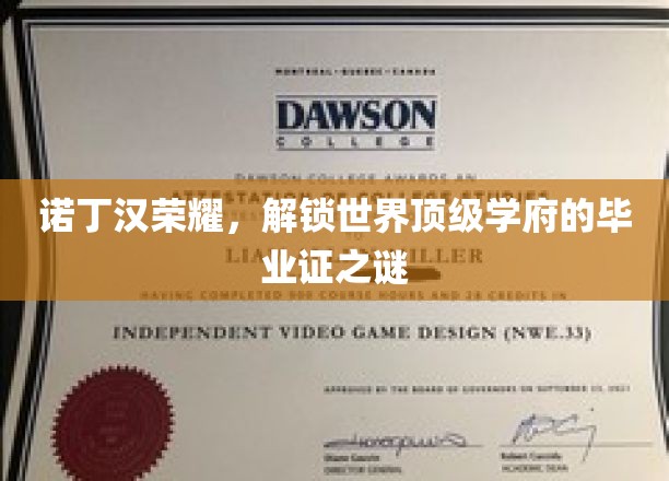 诺丁汉荣耀，解锁世界顶级学府的毕业证之谜