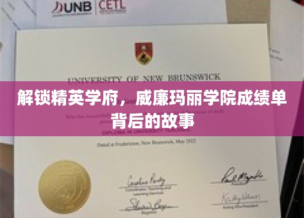 探寻威廉玛丽学院卓越背后的秘密，揭秘顶尖学府的成长轨迹