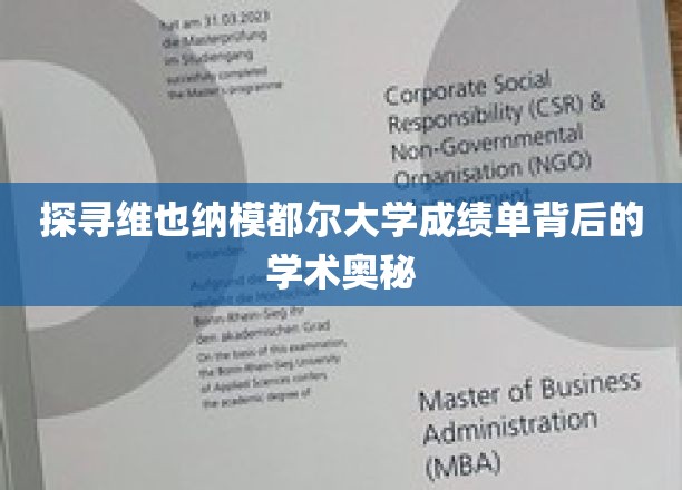 探寻维也纳模都尔大学成绩单背后的学术奥秘