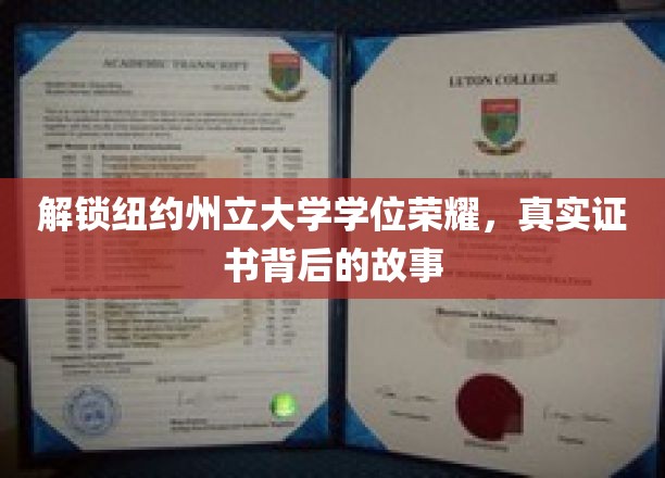 解锁纽约州立大学学位荣耀，探寻真实证书背后的传奇故事