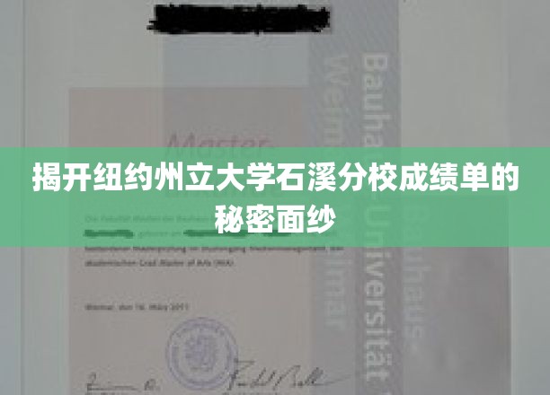 揭开纽约州立大学石溪分校成绩单的秘密面纱