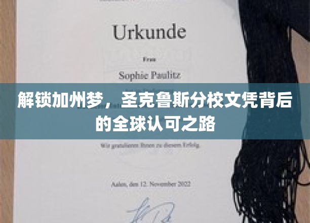 穿越学术海洋，揭秘圣克鲁斯分校文凭的国际通行证