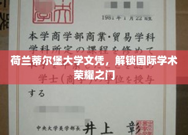荷兰蒂尔堡大学学历，开启全球学术辉煌之旅