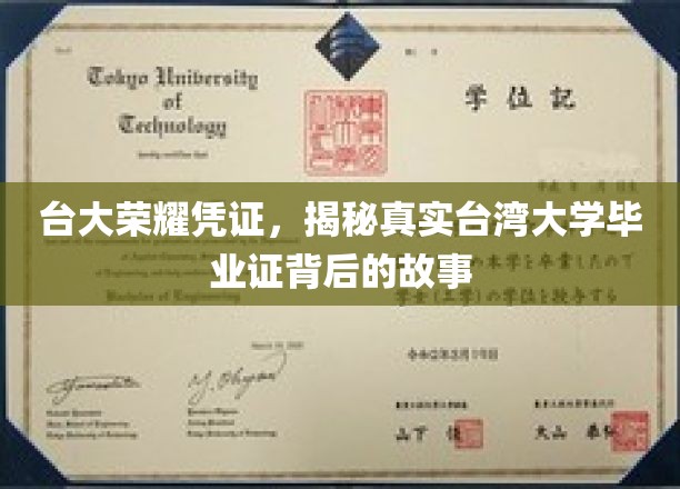 台大荣耀凭证，揭秘真实台湾大学毕业证背后的故事