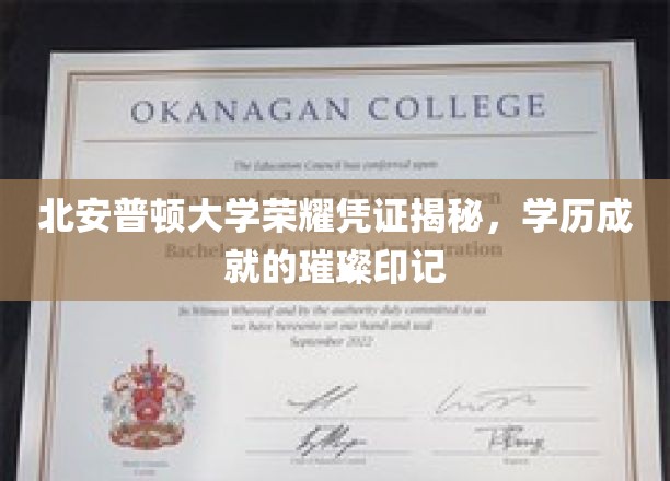 北安普顿大学荣耀凭证揭秘,学历成就的璀璨印记