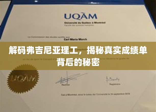 揭开弗吉尼亚理工成绩单的神秘面纱