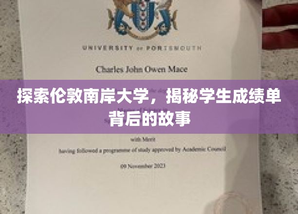 伦敦南岸揭秘，揭秘学生成绩单背后的真实故事