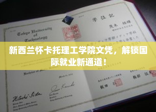 新西兰怀卡托理工学院文凭，开启国际就业新篇章！