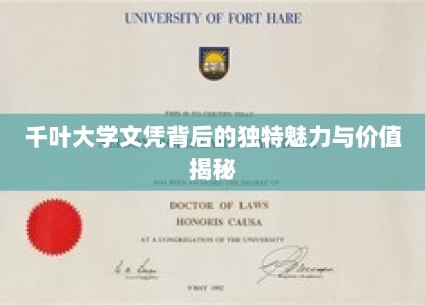 探寻千叶大学文凭的独特吸引力与宝贵价值