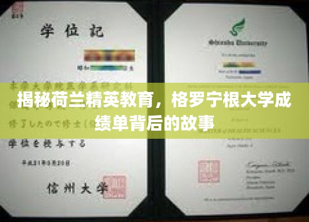探寻格罗宁根大学卓越背后的秘密，荷兰精英教育的真实写照