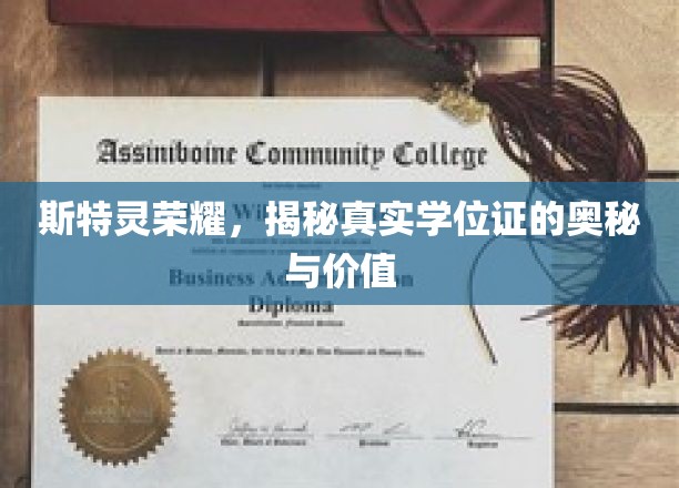 斯特灵荣耀，揭秘真实学位证的奥秘与价值