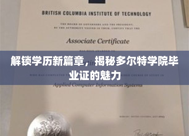 多尔特学院毕业证，开启职场新起点的神秘钥匙