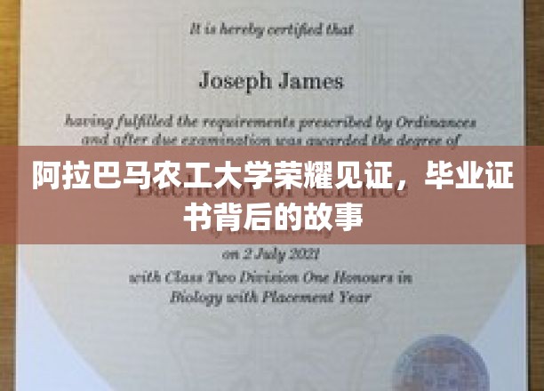 阿拉巴马农工大学，毕业证书背后的荣耀历程揭秘