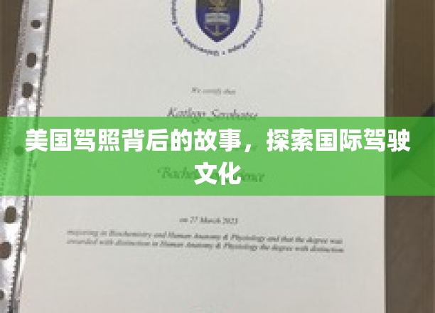 美国驾照背后的故事，探索国际驾驶文化