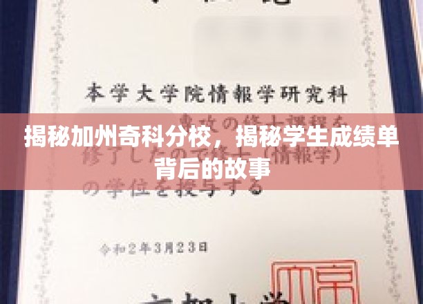 解码奇科分校学海秘境，揭秘成绩单背后的真实轨迹