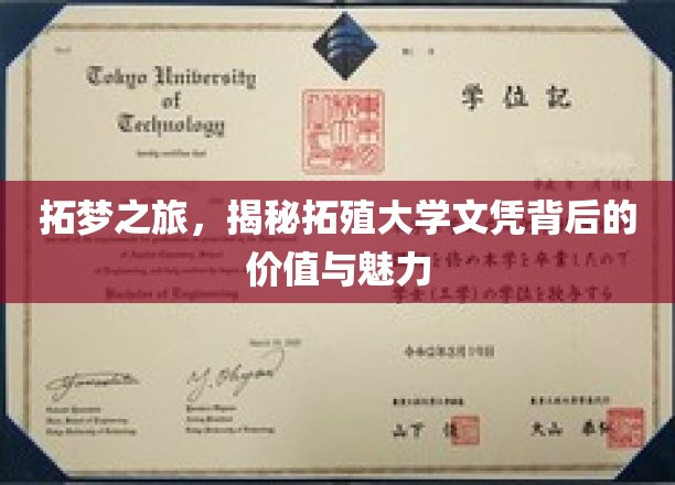 探索拓殖之旅，揭秘文凭之光背后的无限可能