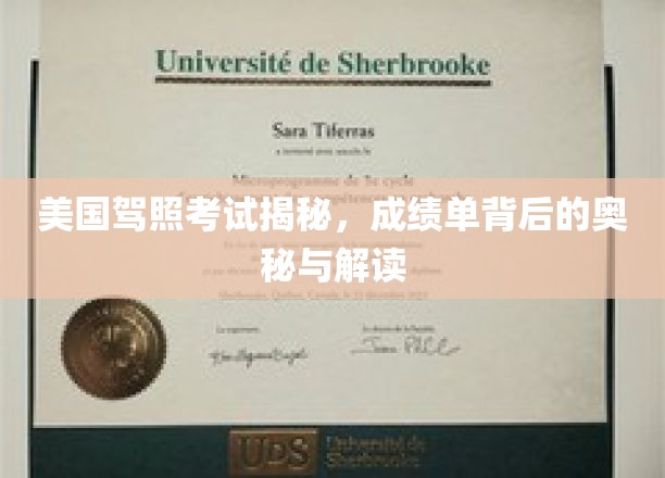美国驾照考试内幕，揭秘成绩单中的隐藏信息
