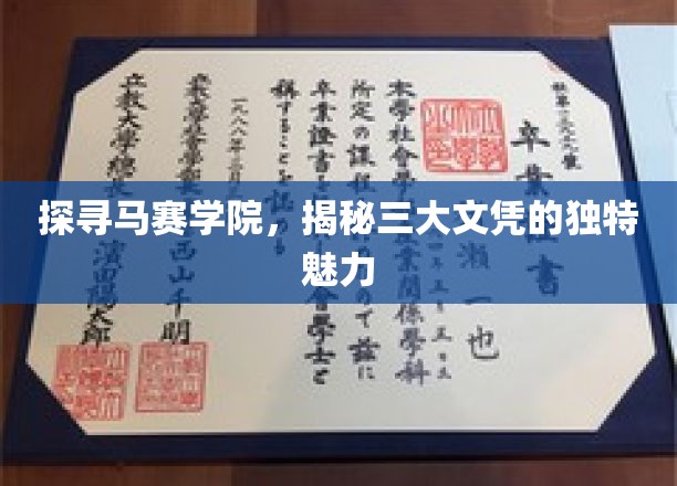 马赛学院文凭探秘，三大文凭背后的非凡吸引力