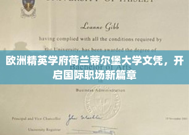 荷兰蒂尔堡大学荣耀学位，助您跨国职场飞跃之路