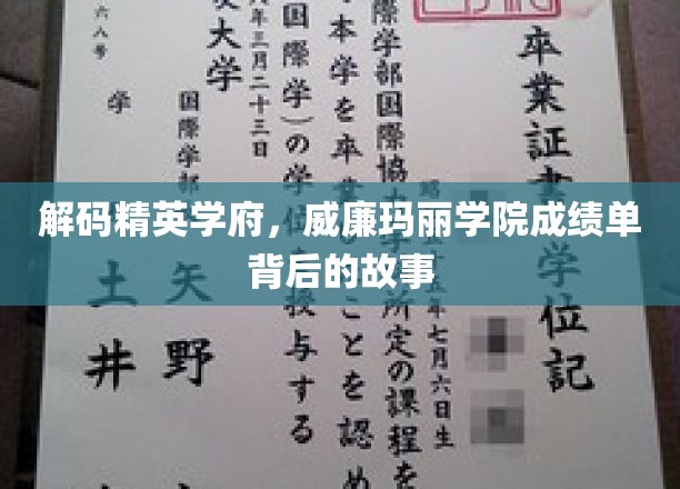 揭开威廉玛丽学院辉煌成绩单背后的神秘面纱
