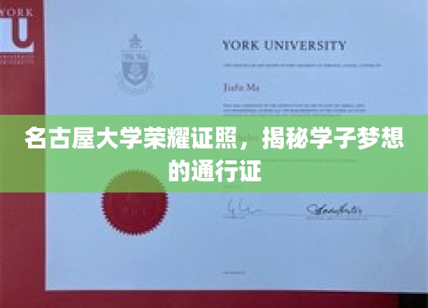 名古屋大学荣耀徽章，解锁学子梦想的璀璨钥匙
