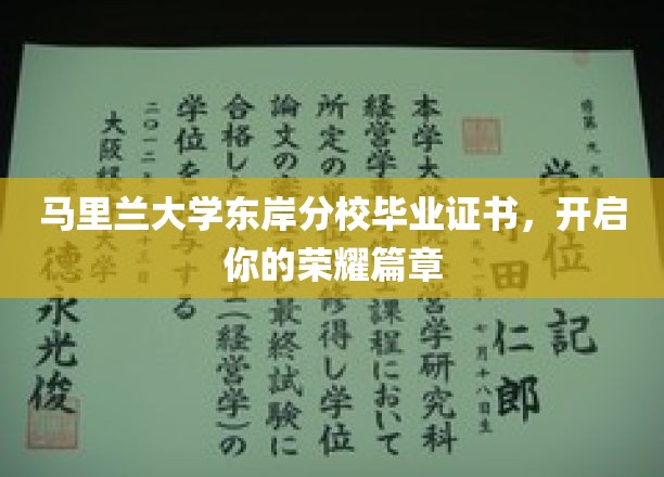 马里兰荣耀启航，东岸分校毕业证书见证非凡成就