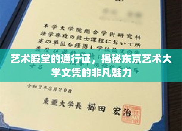 艺术殿堂的通行证，揭秘东京艺术大学文凭的非凡魅力