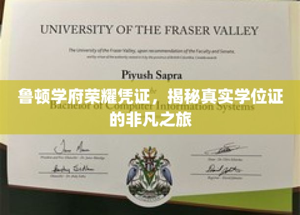 鲁顿学府荣耀印记，学位证背后的传奇之旅
